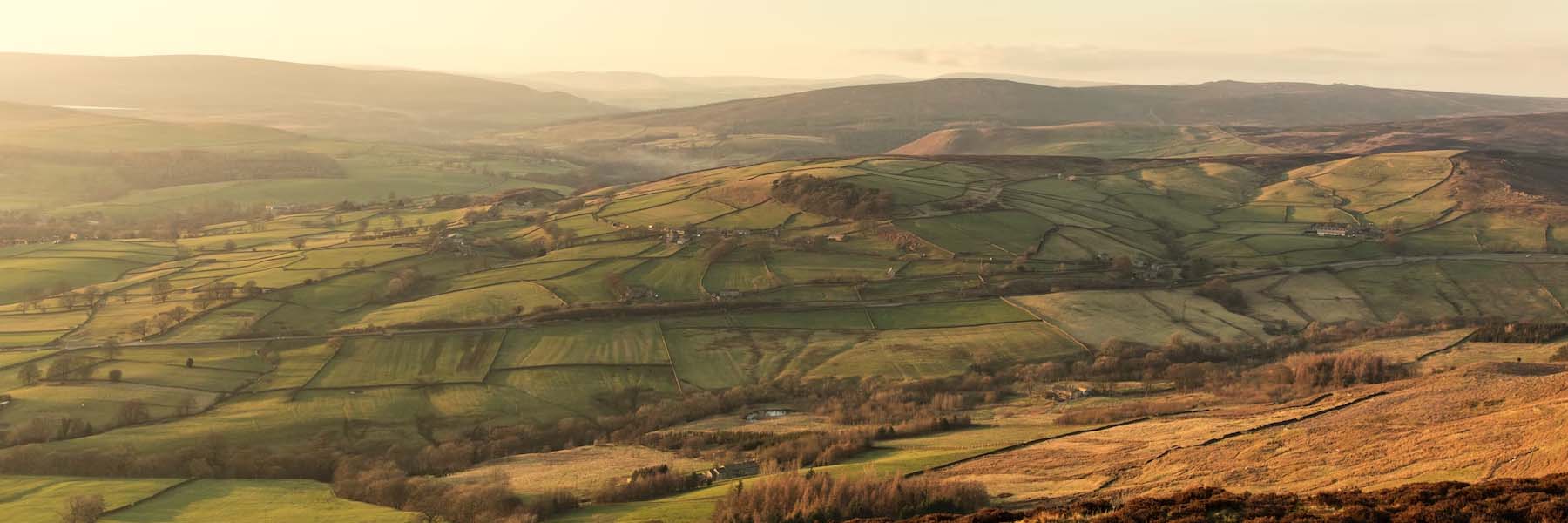 People working on laptops